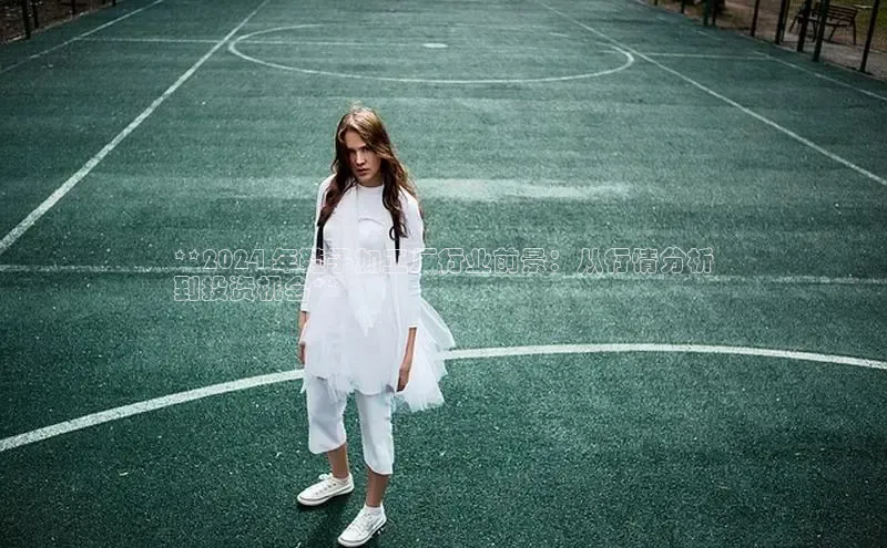 意昂体育官网神思电子**2024 年鞋子加工厂行业前景：从行情分析
到投资机会**