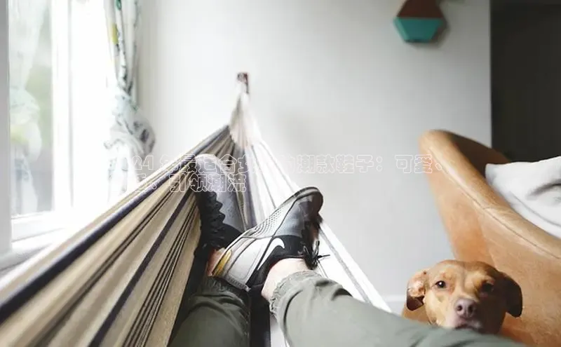 意昂平台注册入口百度游戏开放平台2024 年最适合女童的潮款鞋子：可爱、
舒适、引领潮流